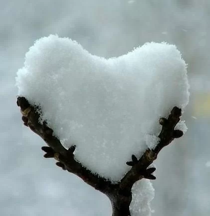 Sognare la Neve